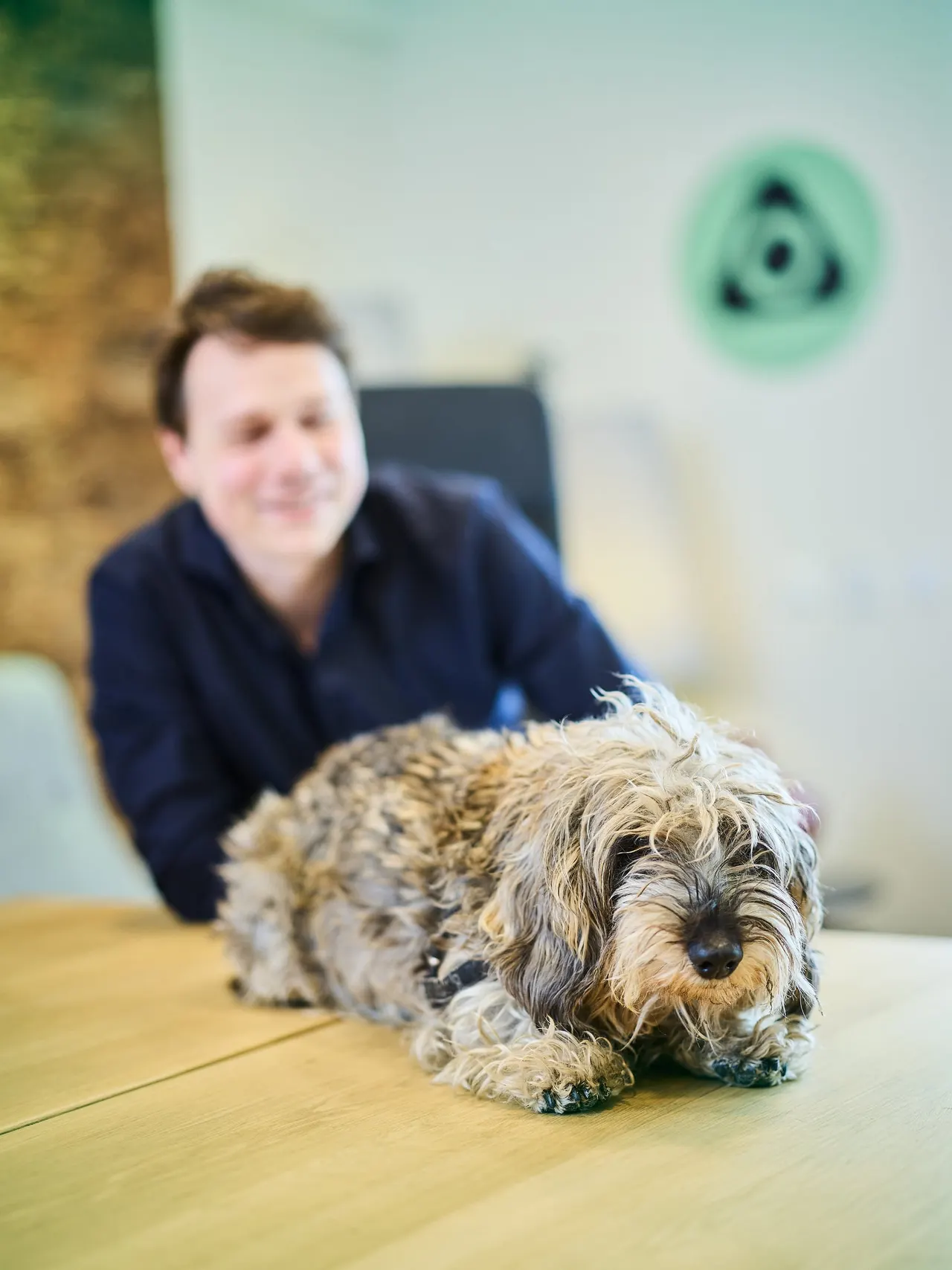 The office dog on the meeting table